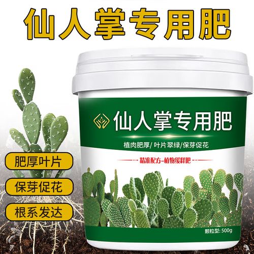 仙人掌施肥用什么肥料(仙人掌类用什么肥)-第6张图片-多多自然网 仙人掌施肥用什么肥料(仙人掌类用什么肥)-第6张图片-多多自然网