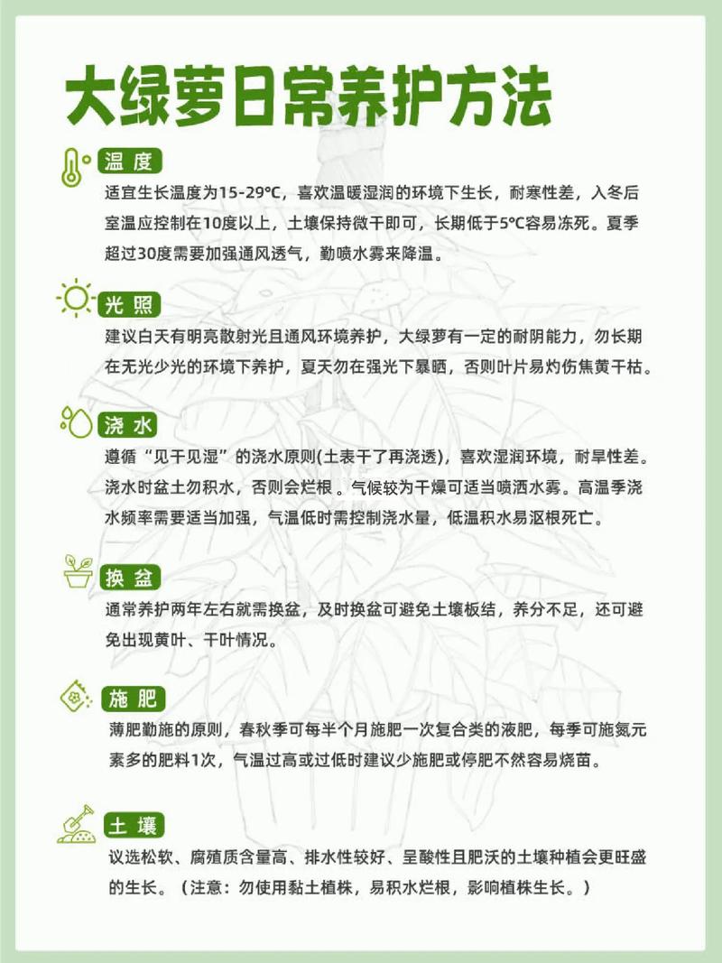绿萝的养殖方法(绿萝的养殖方法和修剪)-第5张图片-多多自然网 绿萝的养殖方法(绿萝的养殖方法和修剪)-第5张图片-多多自然网