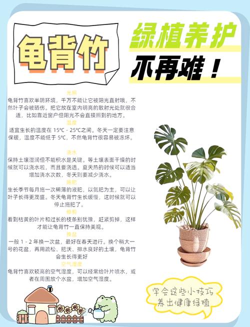 龟背竹怎么养的好(龟背竹怎么养的好一点)-第3张图片-多多自然网 龟背竹怎么养的好(龟背竹怎么养的好一点)-第3张图片-多多自然网