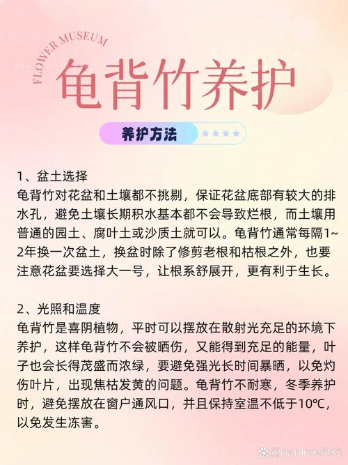 龟背竹怎么养的好(龟背竹怎么养的好一点)-第5张图片-多多自然网 龟背竹怎么养的好(龟背竹怎么养的好一点)-第5张图片-多多自然网