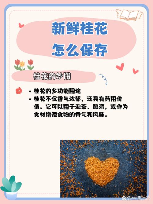 桂花怎样保存香味(桂花怎样保存香味比较好)-第4张图片-多多自然网 桂花怎样保存香味(桂花怎样保存香味比较好)-第4张图片-多多自然网