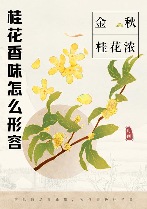 桂花怎样保存香味(桂花怎样保存香味比较好)-第8张图片-多多自然网 桂花怎样保存香味(桂花怎样保存香味比较好)-第8张图片-多多自然网