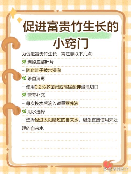 富贵竹怎么水养才旺盛(富贵竹土养方法详解)-第1张图片-多多自然网 富贵竹怎么水养才旺盛(富贵竹土养方法详解)-第1张图片-多多自然网