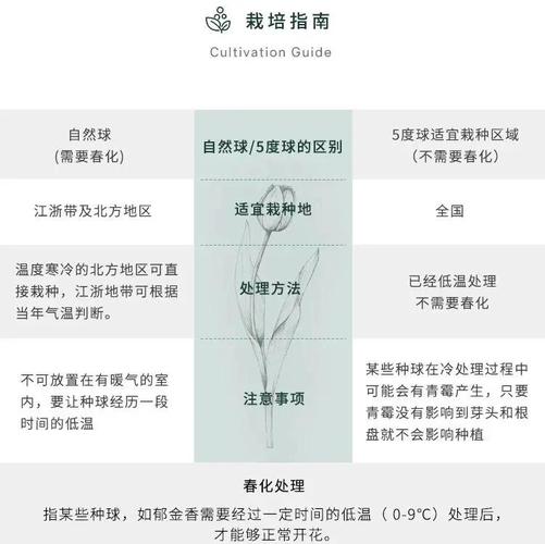 马蹄莲秋天怎么养(马蹄莲秋天怎么养护和浇水)-第3张图片-多多自然网 马蹄莲秋天怎么养(马蹄莲秋天怎么养护和浇水)-第3张图片-多多自然网