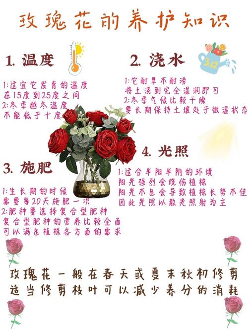 苦水玫瑰怎么修剪(苦水玫瑰怎么种植)-第6张图片-多多自然网 苦水玫瑰怎么修剪(苦水玫瑰怎么种植)-第6张图片-多多自然网