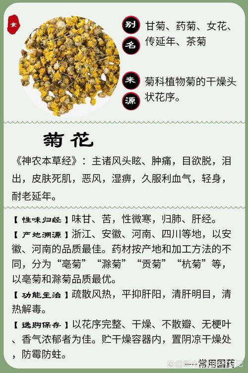 菊花叶子长白斑怎么办(菊花叶子上出现白色花纹)-第4张图片-多多自然网 菊花叶子长白斑怎么办(菊花叶子上出现白色花纹)-第4张图片-多多自然网
