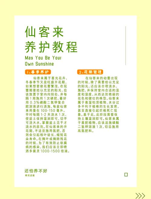 如何使仙客来在圣诞开花(仙客来春节花期开败了,怎么管理用什么肥料好)-第6张图片-多多自然网 如何使仙客来在圣诞开花(仙客来春节花期开败了,怎么管理用什么肥料好)-第6张图片-多多自然网