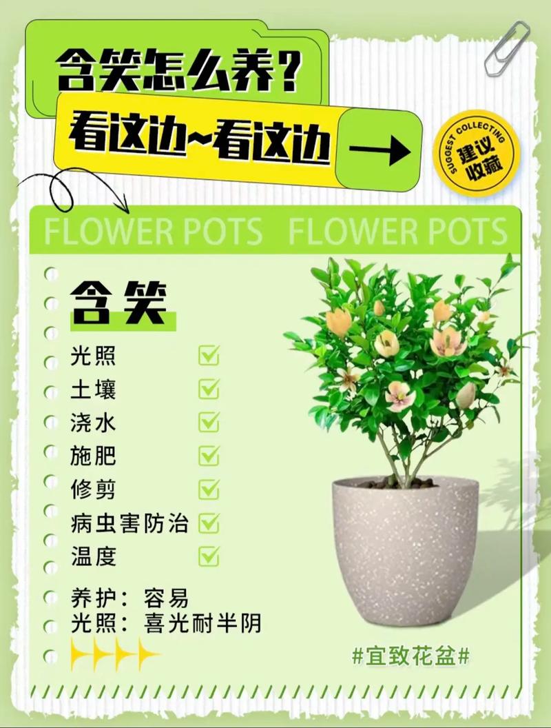鹰爪花的繁殖方法（鹰爪花种植注意事项）-第8张图片-多多自然网