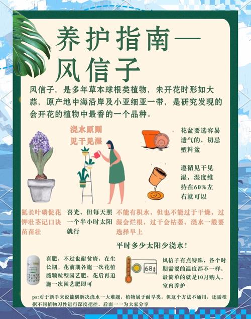 风信子花谢了怎么处理(水培风信子花谢了怎么处理)-第3张图片-多多自然网 风信子花谢了怎么处理(水培风信子花谢了怎么处理)-第3张图片-多多自然网