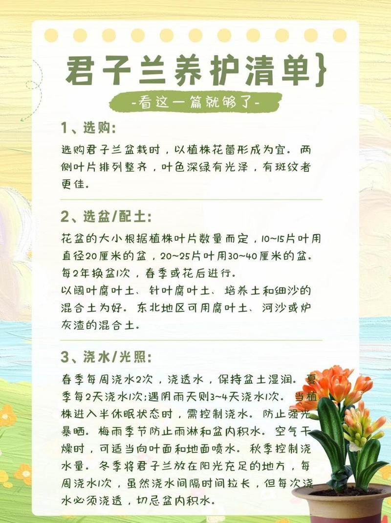 绿萝君子兰...山东大妈这么养(绿花君子兰怎么培养出来的)-第4张图片-多多自然网 绿萝君子兰...山东大妈这么养(绿花君子兰怎么培养出来的)-第4张图片-多多自然网