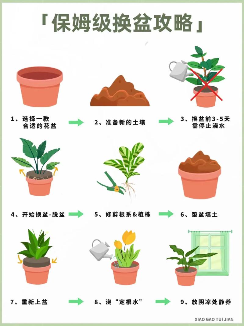 长春花换盆注意事项(长春花换盆注意事项有哪些)-第7张图片-多多自然网 长春花换盆注意事项(长春花换盆注意事项有哪些)-第7张图片-多多自然网
