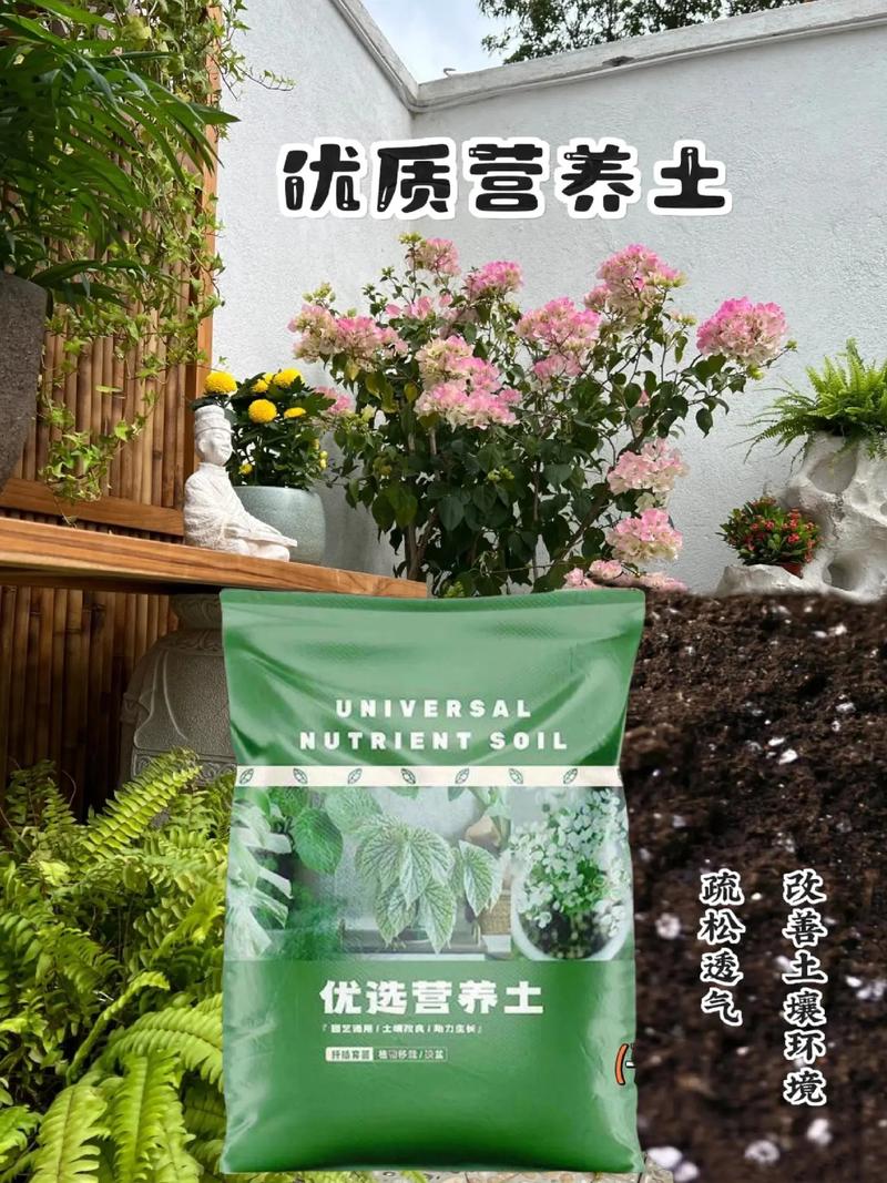 养花就用这种土(养花到底用啥土比较好)-第1张图片-多多自然网 养花就用这种土(养花到底用啥土比较好)-第1张图片-多多自然网