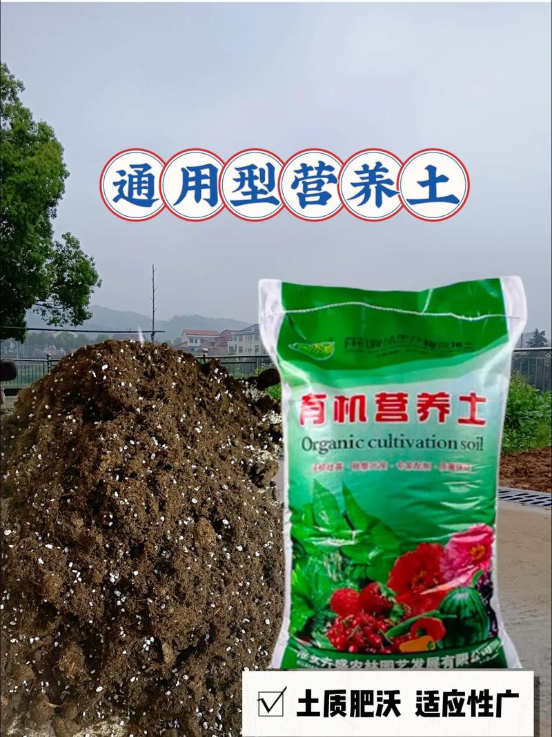 养花就用这种土(养花到底用啥土比较好)-第5张图片-多多自然网 养花就用这种土(养花到底用啥土比较好)-第5张图片-多多自然网