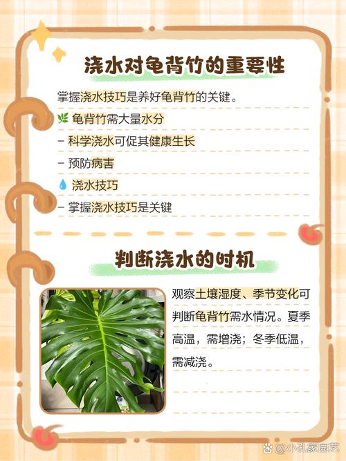 龟背竹秋天怎么养(龟背竹秋冬季节怎么养护)-第3张图片-多多自然网 龟背竹秋天怎么养(龟背竹秋冬季节怎么养护)-第3张图片-多多自然网