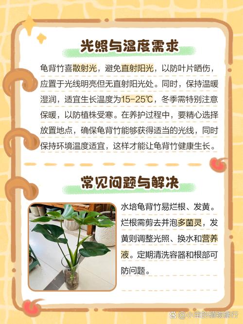 水培龟背竹的养殖方法和注意事项(龟背竹水培最简单三个步骤)-第3张图片-多多自然网 水培龟背竹的养殖方法和注意事项(龟背竹水培最简单三个步骤)-第3张图片-多多自然网