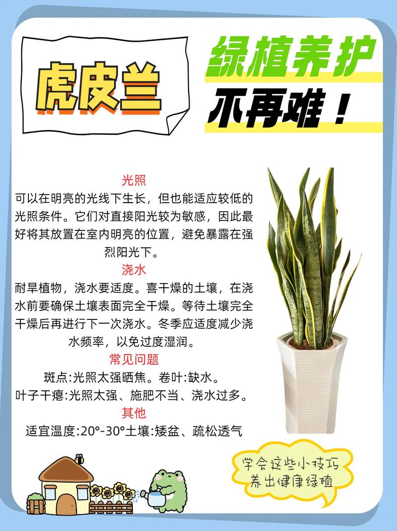 虎皮兰多久浇一次水(新栽的虎皮兰多久浇一次水)-第7张图片-多多自然网 虎皮兰多久浇一次水(新栽的虎皮兰多久浇一次水)-第7张图片-多多自然网