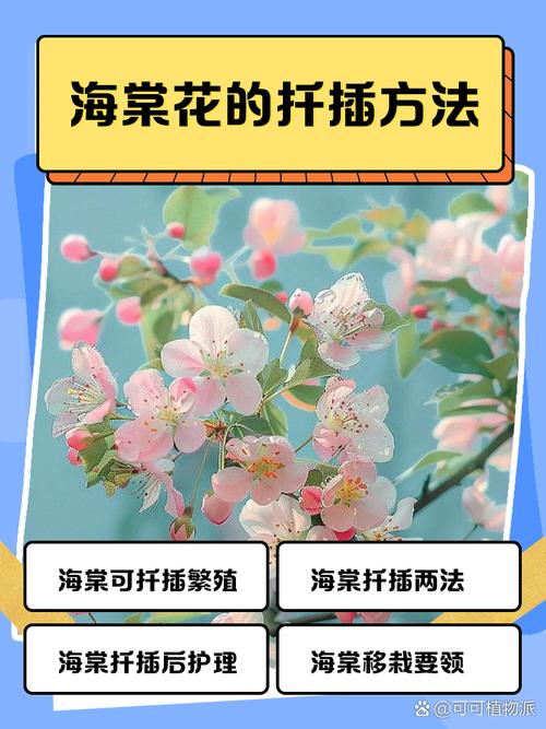 海棠花的扦插方法(竹节海棠花的扦插方法)-第3张图片-多多自然网 海棠花的扦插方法(竹节海棠花的扦插方法)-第3张图片-多多自然网