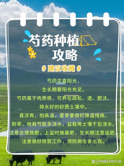 芍药秋天怎么养(芍药秋天怎么养殖)-第5张图片-多多自然网 芍药秋天怎么养(芍药秋天怎么养殖)-第5张图片-多多自然网