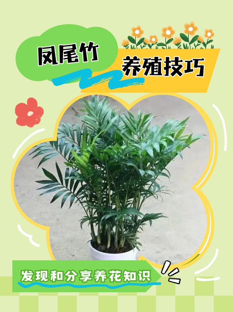 凤尾竹怎么修剪(凤尾竹怎么修剪教程)-第7张图片-多多自然网 凤尾竹怎么修剪(凤尾竹怎么修剪教程)-第7张图片-多多自然网