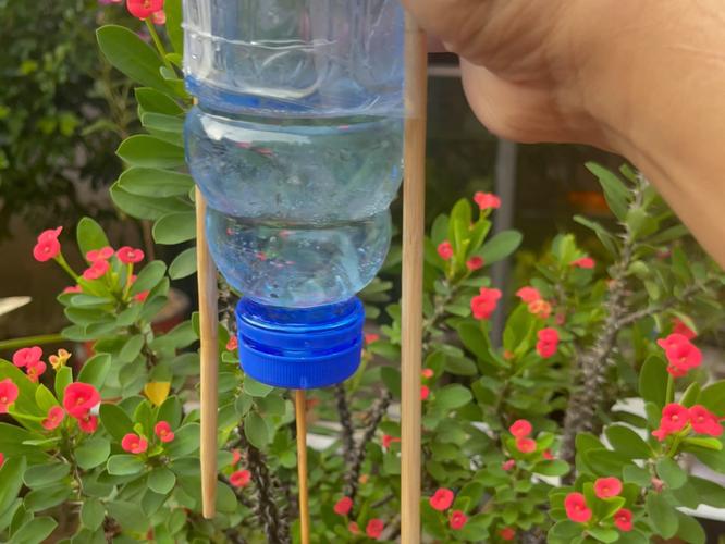 1分钟完成自动浇水(如何自动浇水)-第4张图片-多多自然网 1分钟完成自动浇水(如何自动浇水)-第4张图片-多多自然网