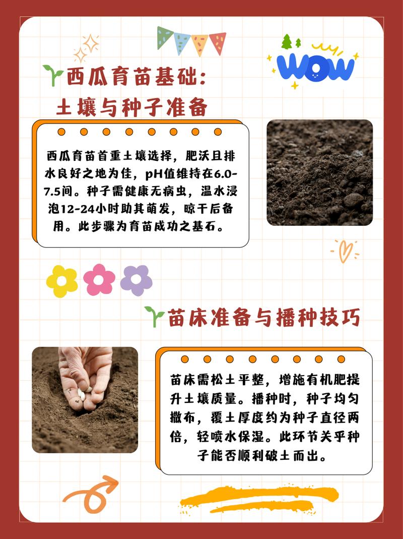 西瓜种子怎么种(金黄西瓜种子怎么种)-第1张图片-多多自然网 西瓜种子怎么种(金黄西瓜种子怎么种)-第1张图片-多多自然网