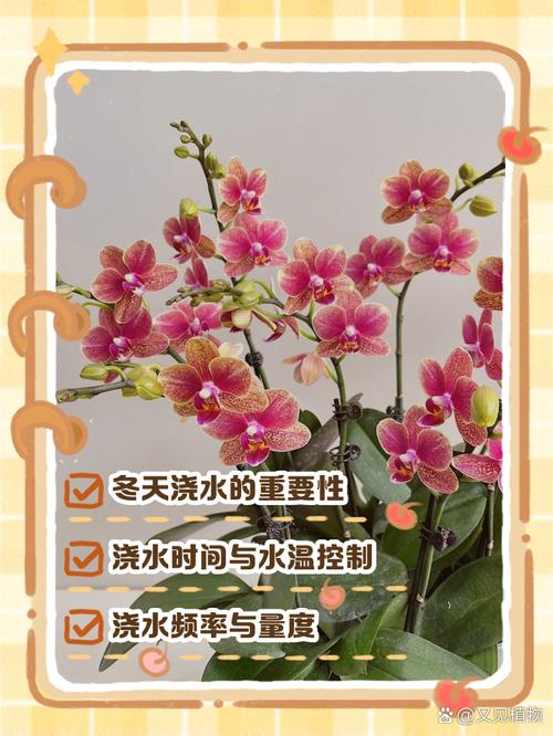 冬天浇水一句话（入冬浇水）-第5张图片-多多自然网
