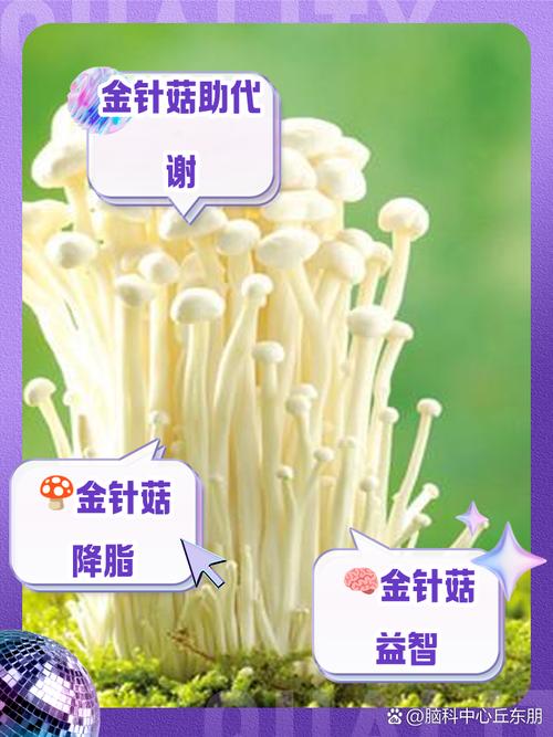 怎么养金针菇的根（金针菇根子怎么培养出金针菇）-第3张图片-多多自然网