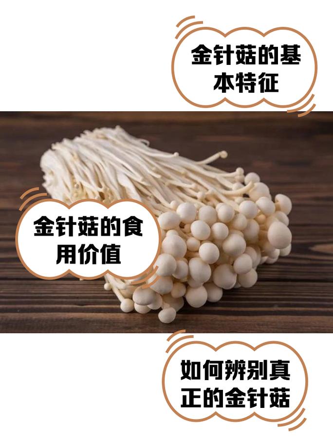 怎么养金针菇的根（金针菇根子怎么培养出金针菇）-第5张图片-多多自然网