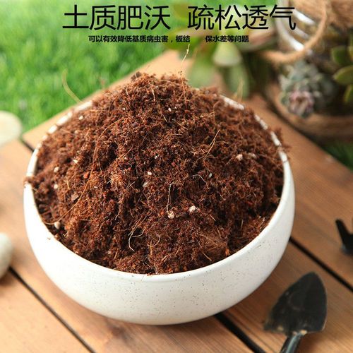 鸿运当头用什么土养(鸿运当头用啥土养)-第5张图片-多多自然网 鸿运当头用什么土养(鸿运当头用啥土养)-第5张图片-多多自然网