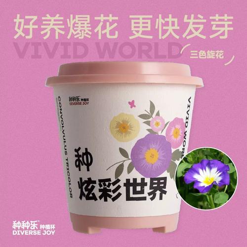 三色旋花种植方法(3色旋花图片怎么种植)-第3张图片-多多自然网 三色旋花种植方法(3色旋花图片怎么种植)-第3张图片-多多自然网