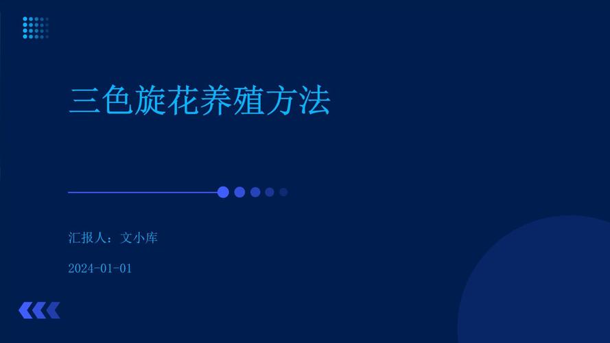 三色旋花种植方法(3色旋花图片怎么种植)-第4张图片-多多自然网 三色旋花种植方法(3色旋花图片怎么种植)-第4张图片-多多自然网