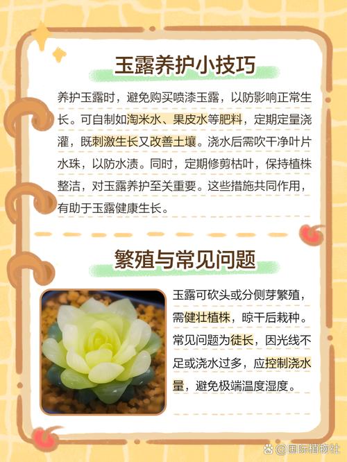十二卷在冬天怎样保持晶莹(十二卷怕冻吗)-第3张图片-多多自然网 十二卷在冬天怎样保持晶莹(十二卷怕冻吗)-第3张图片-多多自然网