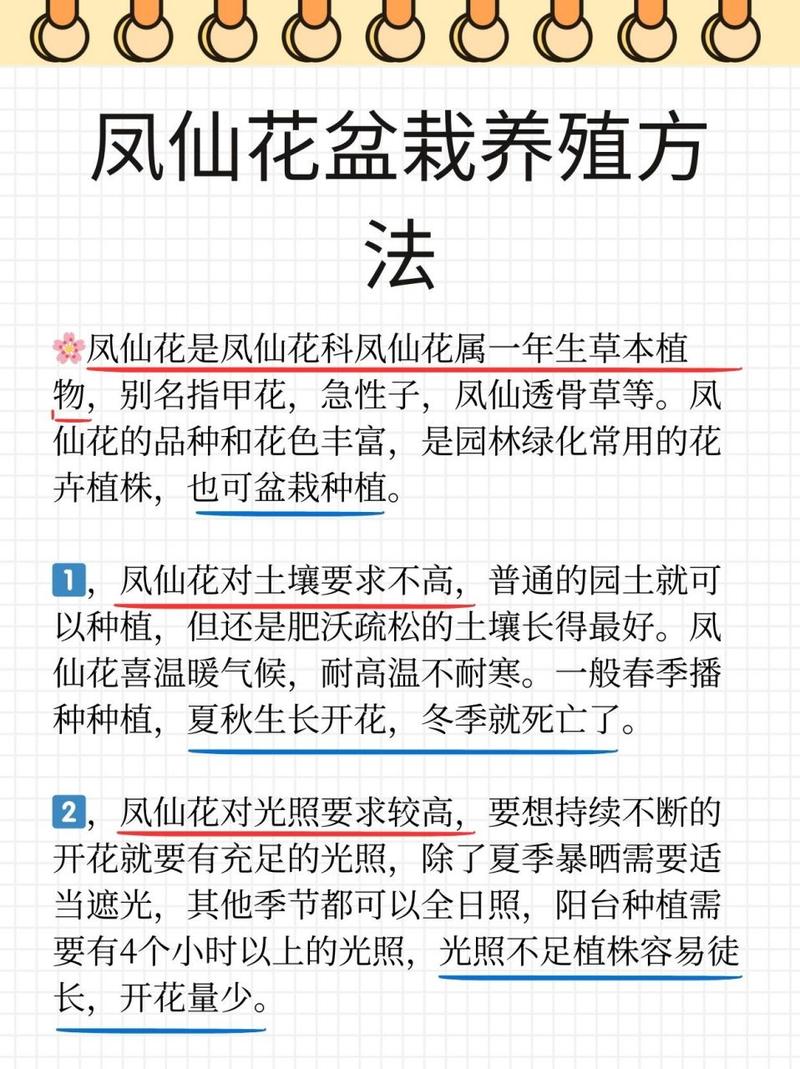 凤仙花怎么养(凤仙花怎么养活才能开花)-第5张图片-多多自然网 凤仙花怎么养(凤仙花怎么养活才能开花)-第5张图片-多多自然网