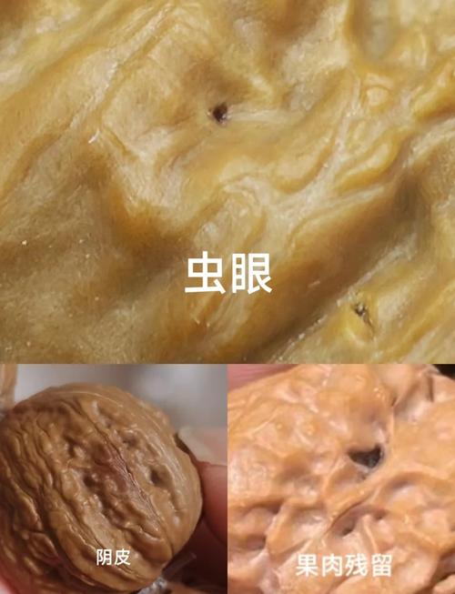 “核桃”扔水里(核桃遇水)-第2张图片-多多自然网 “核桃”扔水里(核桃遇水)-第2张图片-多多自然网