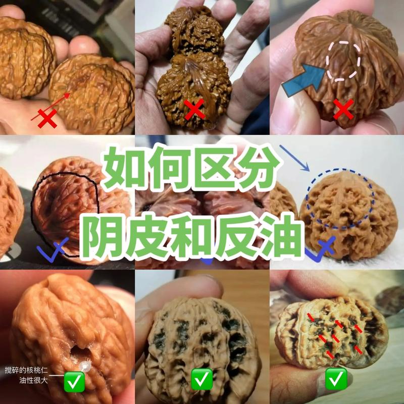 “核桃”扔水里(核桃遇水)-第5张图片-多多自然网 “核桃”扔水里(核桃遇水)-第5张图片-多多自然网