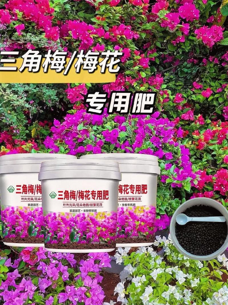五色梅秋天怎么养(五色梅的夏季养护)-第5张图片-多多自然网 五色梅秋天怎么养(五色梅的夏季养护)-第5张图片-多多自然网