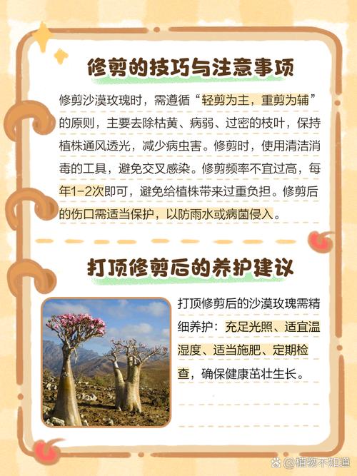 沙漠玫瑰修剪造型方法(沙漠玫瑰怎么修剪,啥时候修剪)-第3张图片-多多自然网 沙漠玫瑰修剪造型方法(沙漠玫瑰怎么修剪,啥时候修剪)-第3张图片-多多自然网