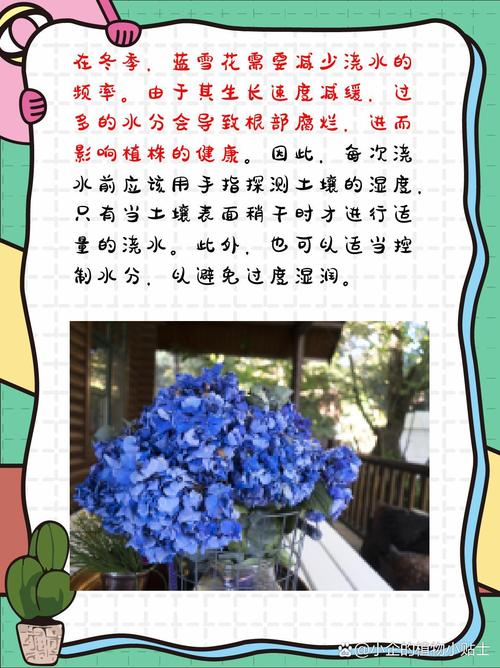 蓝雪花冬天怎么养(蓝雪花冬天怎么养护和管理)-第7张图片-多多自然网 蓝雪花冬天怎么养(蓝雪花冬天怎么养护和管理)-第7张图片-多多自然网