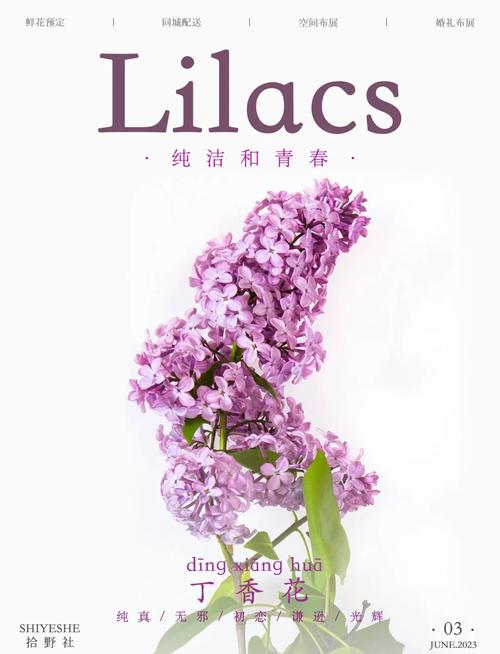 丁香花怎么养(丁香花怎么养护和管理)-第6张图片-多多自然网 丁香花怎么养(丁香花怎么养护和管理)-第6张图片-多多自然网