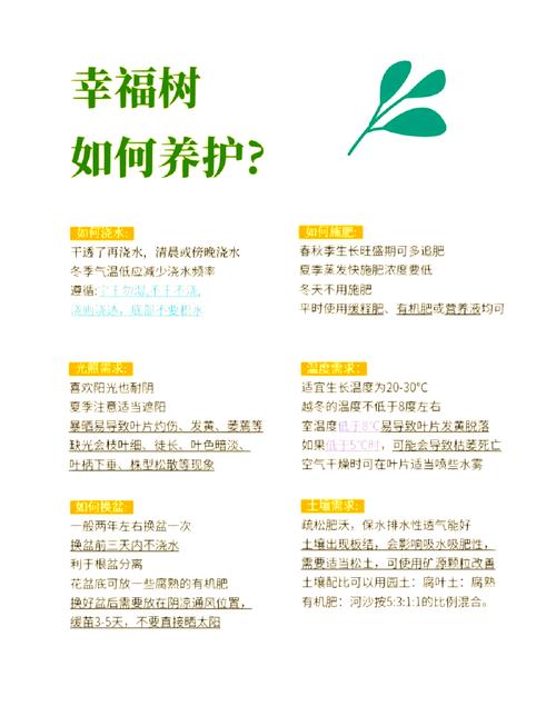 幸福树为什么不发新芽(幸福树为什么不发新芽了)-第7张图片-多多自然网 幸福树为什么不发新芽(幸福树为什么不发新芽了)-第7张图片-多多自然网