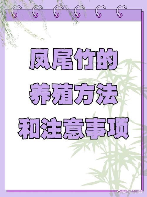 凤尾竹怎么施肥(凤尾竹怎么施肥效果好)-第2张图片-多多自然网 凤尾竹怎么施肥(凤尾竹怎么施肥效果好)-第2张图片-多多自然网