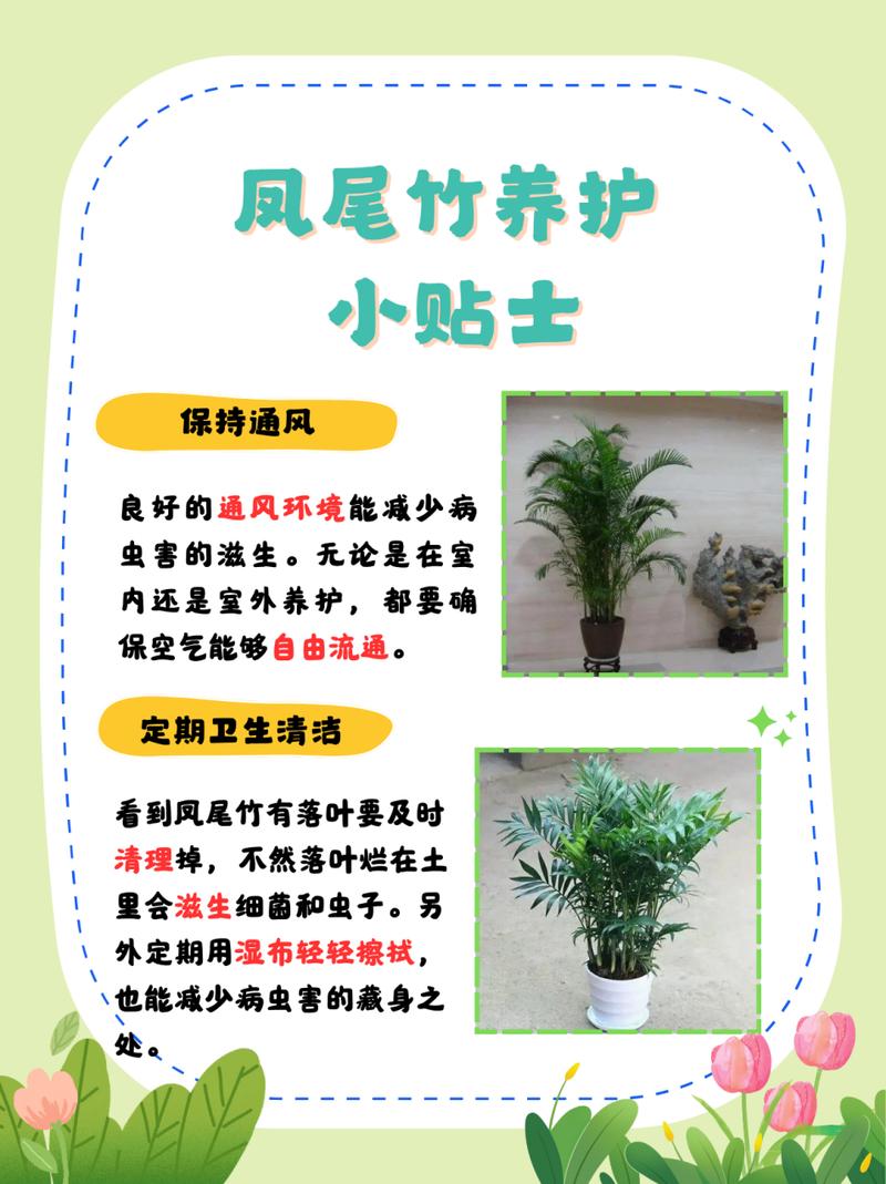 凤尾竹怎么施肥(凤尾竹怎么施肥效果好)-第5张图片-多多自然网 凤尾竹怎么施肥(凤尾竹怎么施肥效果好)-第5张图片-多多自然网