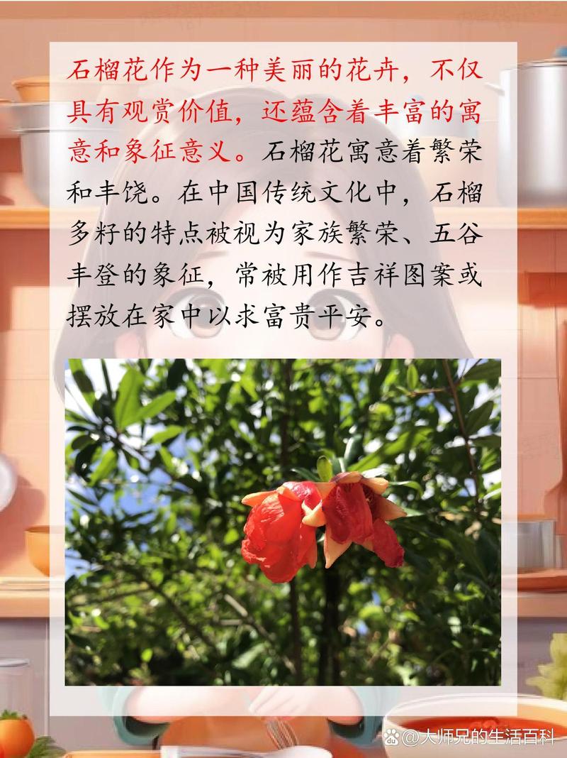 过年给花来个大扫除(过年大扫除说的吉利话)-第1张图片-多多自然网 过年给花来个大扫除(过年大扫除说的吉利话)-第1张图片-多多自然网