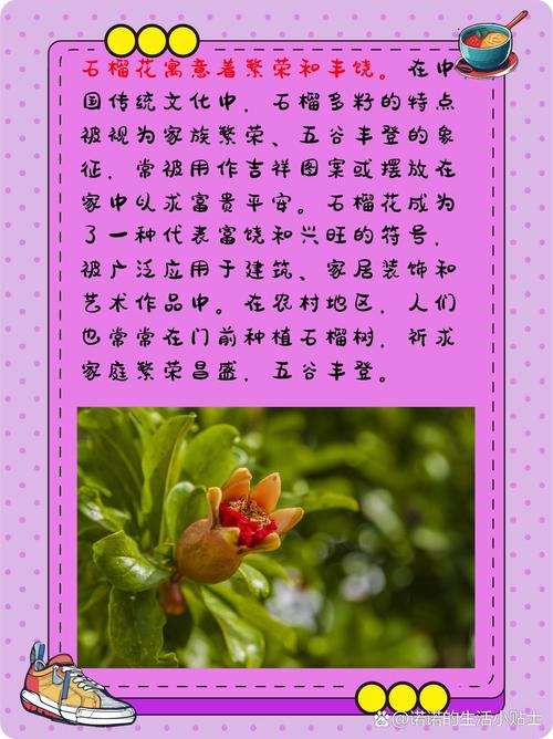 过年给花来个大扫除(过年大扫除说的吉利话)-第2张图片-多多自然网 过年给花来个大扫除(过年大扫除说的吉利话)-第2张图片-多多自然网