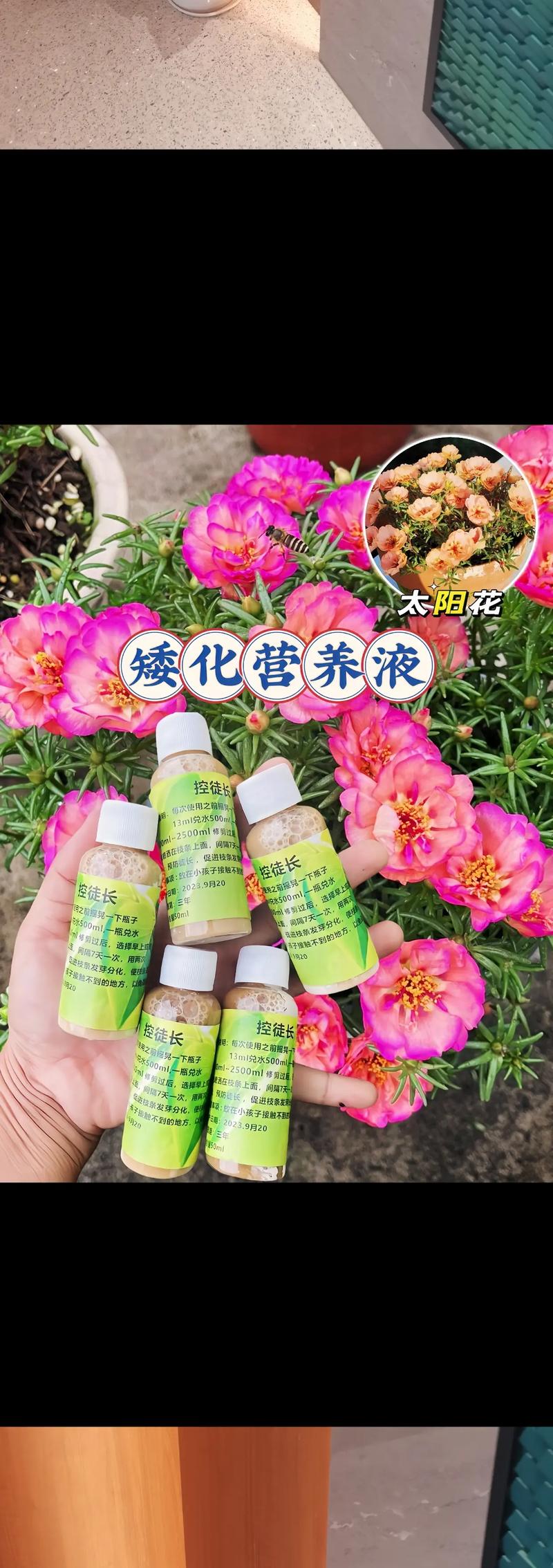 浇花掺点小东西(浇花水里加什么会更好)-第1张图片-多多自然网 浇花掺点小东西(浇花水里加什么会更好)-第1张图片-多多自然网