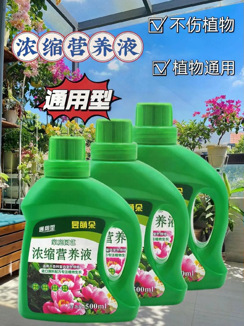 浇花掺点小东西(浇花水里加什么会更好)-第2张图片-多多自然网 浇花掺点小东西(浇花水里加什么会更好)-第2张图片-多多自然网