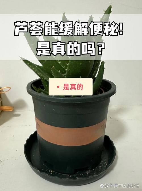 别买营养土了(营养土是真的吗)-第3张图片-多多自然网 别买营养土了(营养土是真的吗)-第3张图片-多多自然网