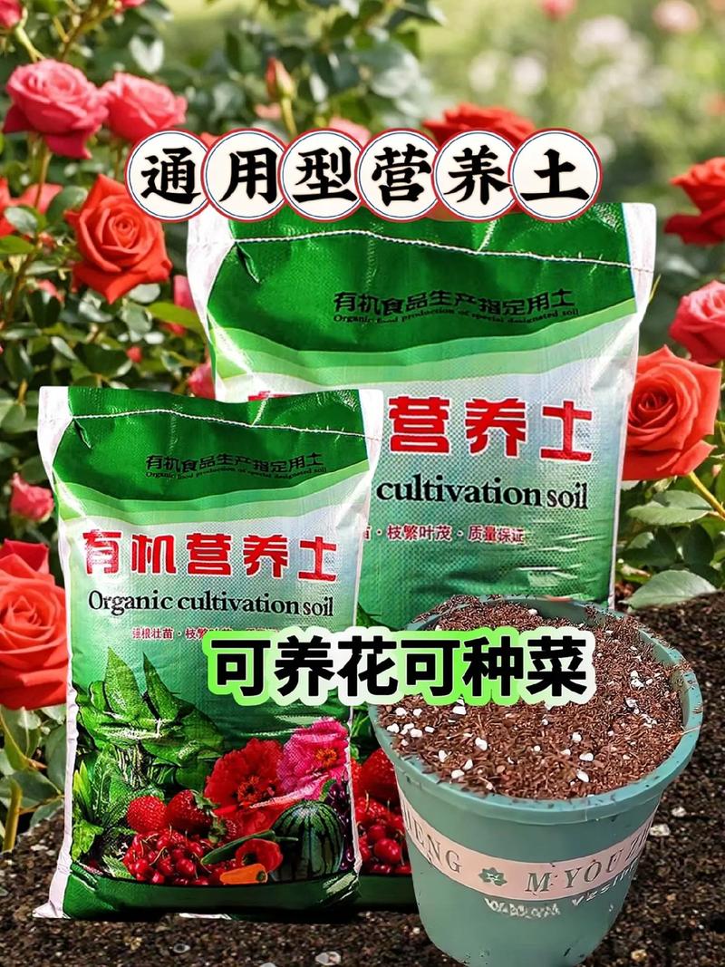 别买营养土了(营养土是真的吗)-第5张图片-多多自然网 别买营养土了(营养土是真的吗)-第5张图片-多多自然网