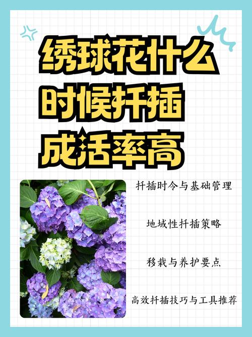绣球花扦插方法和时间(绣球花扦插方法和时间 视频)-第4张图片-多多自然网 绣球花扦插方法和时间(绣球花扦插方法和时间 视频)-第4张图片-多多自然网