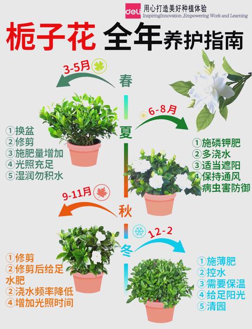 栀子花怎么延长花期(栀子花怎么让他多发芽)-第2张图片-多多自然网 栀子花怎么延长花期(栀子花怎么让他多发芽)-第2张图片-多多自然网